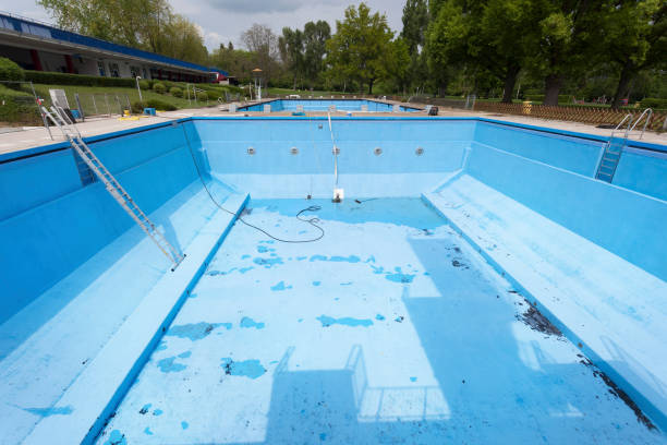 Best Mold removal after water damage  in Wadesboro, NC