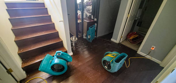 Best Sewage cleanup and water damage restoration  in Wadesboro, NC