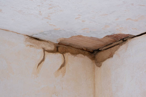 Best Commercial water damage restoration  in Wadesboro, NC
