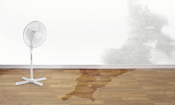 Best Fire Damage Restoration  in Wadesboro, NC
